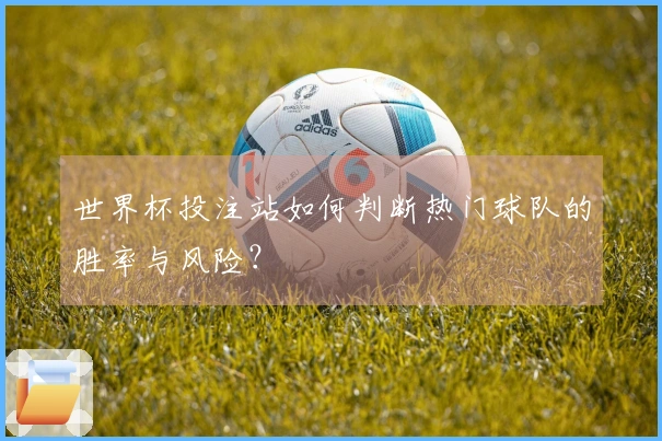 世界杯投注站如何判断热门球队的胜率与风险？