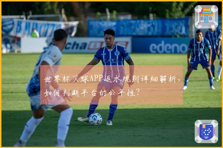 世界杯买球APP返水规则详细解析，如何判断平台的公平性？