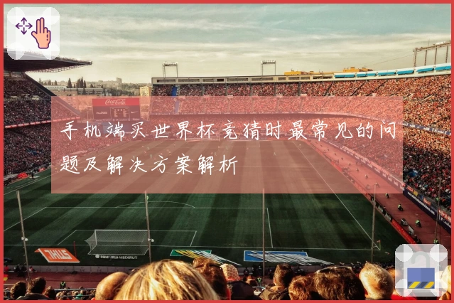 手机端买世界杯竞猜时最常见的问题及解决方案解析